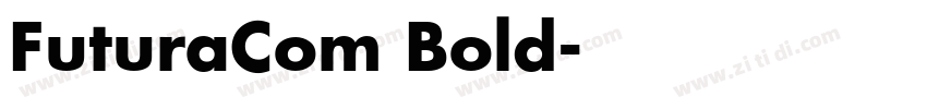 FuturaCom Bold字体转换